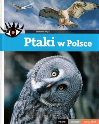 Ptaki w Polsce [KSIĄŻKA]