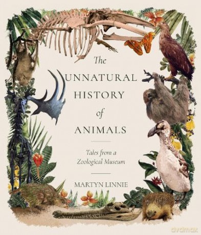 The Unnatural History of Animals: Tales from a Zoological Museum [KSIĄŻKA]