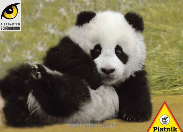 Puzzle 100 - Mała Panda PIATNIK [PUZZLE]