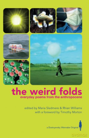 the weird folds: everyday poems from the anthopocene: Everyday Poems from the Anthropocene [KSIĄŻKA]