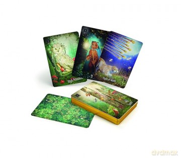The Westwood Tarot [KSIĄŻKA]