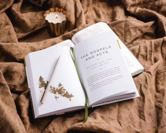 The Whole Story: A 52-Week Devotional Journey Through Every Book of the Bible [KSIĄŻKA]