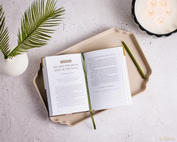 The Whole Story: A 52-Week Devotional Journey Through Every Book of the Bible [KSIĄŻKA]