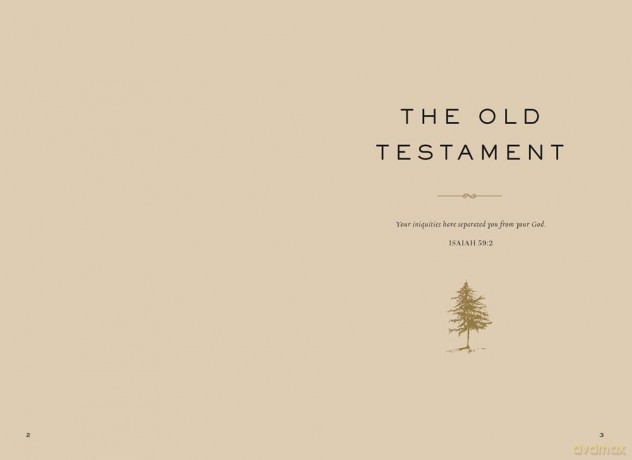 The Whole Story: A 52-Week Devotional Journey Through Every Book of the Bible [KSIĄŻKA]