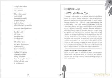 The Wonder of Small Things: Poems of Peace and Renewal [KSIĄŻKA]