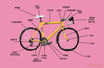 The Young Cyclist's Companion [KSIĄŻKA]