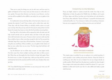 The Young Green Witch's Guide to Plant Magic: Rituals and Recipes from Nature [KSIĄŻKA]