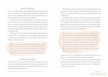 The Young Green Witch's Guide to Plant Magic: Rituals and Recipes from Nature [KSIĄŻKA]