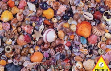 Puzzle 1000 - Muszelki PIATNIK [PUZZLE]
