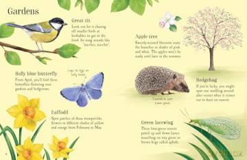Things to Spot in Springtime [KSIĄŻKA]
