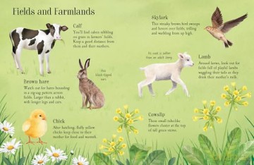 Things to Spot in Springtime [KSIĄŻKA]