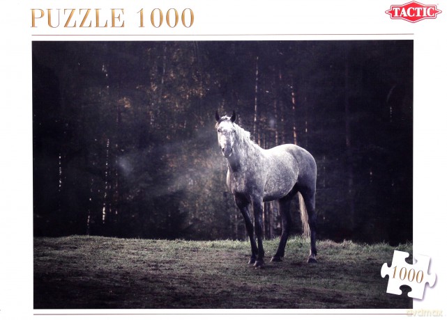Puzzle 1000 Alone TACTIC [PUZZLE]