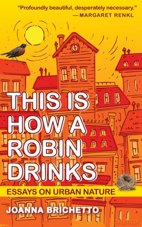 This Is How a Robin Drinks: Essays on Urban Nature [KSIĄŻKA]