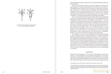 Three Becomes Two Becomes One Becomes None: Cosmopoiesis of Mandragoras [KSIĄŻKA]