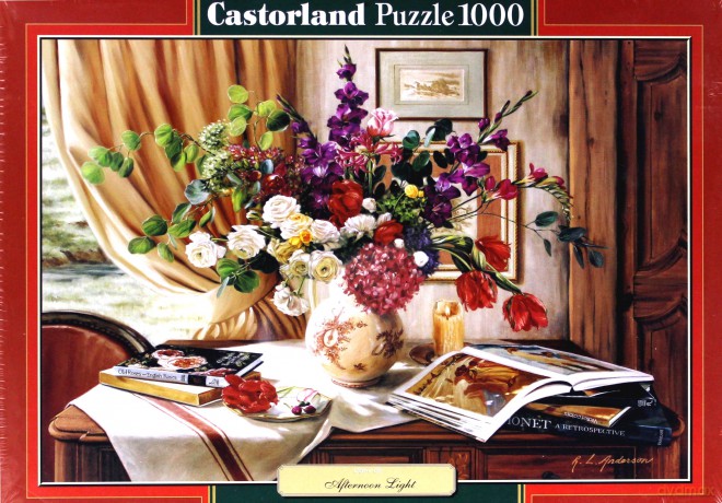 Puzzle 1000 Copy of Afternoon Light CASTOR 126707 [PUZZLE]