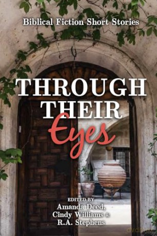 Through Their Eyes: Biblical Fiction Short Stories [KSIĄŻKA]