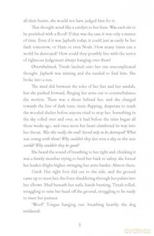 Through Their Eyes: Biblical Fiction Short Stories [KSIĄŻKA]