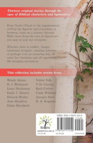 Through Their Eyes: Biblical Fiction Short Stories [KSIĄŻKA]