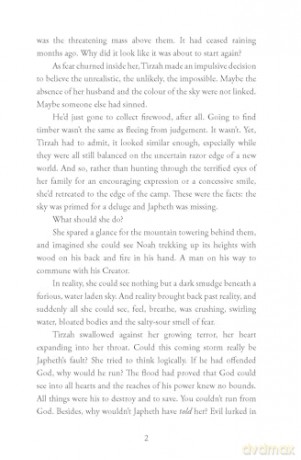Through Their Eyes: Biblical Fiction Short Stories [KSIĄŻKA]