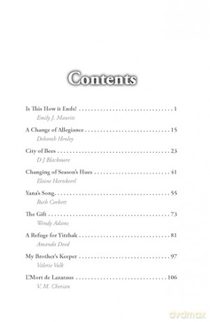Through Their Eyes: Biblical Fiction Short Stories [KSIĄŻKA]