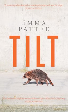Tilt: A thrilling literary debut about how we confront disaster, hotly anticipated for 2025 [KSIĄŻKA]