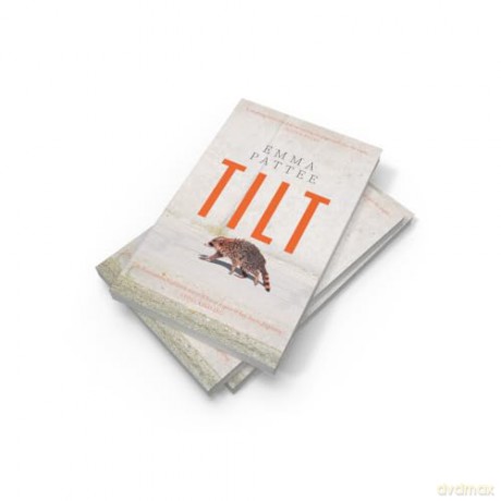 Tilt: A thrilling literary debut about how we confront disaster, hotly anticipated for 2025 [KSIĄŻKA]