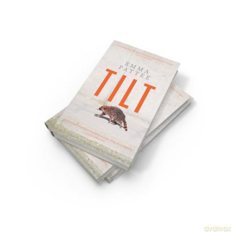 Tilt: A thrilling literary debut about how we confront disaster, hotly anticipated for 2025 [KSIĄŻKA]