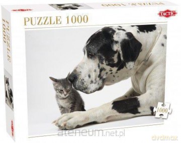 Puzzle 1000 Friends TACTIC [PUZZLE]