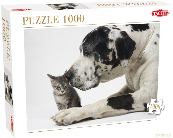 Puzzle 1000 Friends TACTIC [PUZZLE]