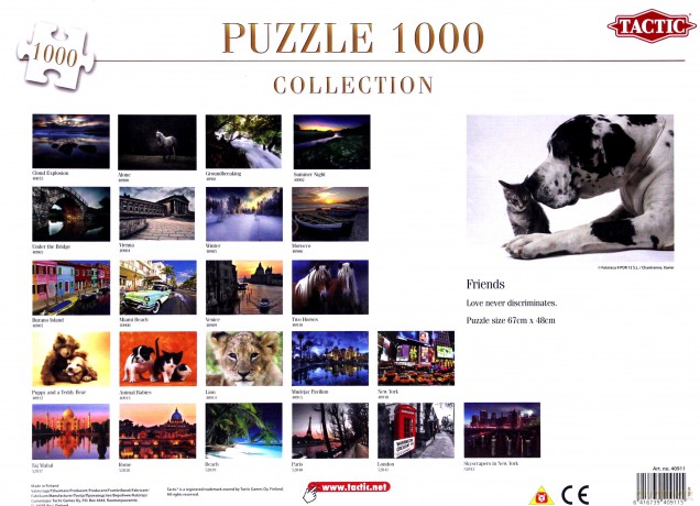 Puzzle 1000 Friends TACTIC [PUZZLE]
