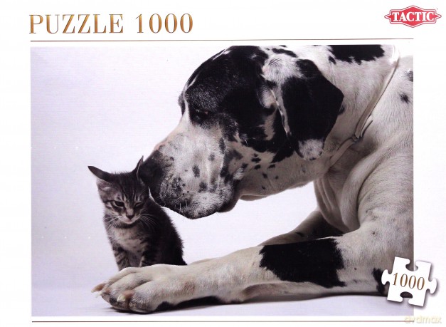 Puzzle 1000 Friends TACTIC [PUZZLE]