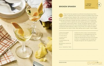 Tiny Cocktails: The Art of Miniature Mixology: A Cocktail Recipe Book [KSIĄŻKA]