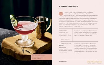 Tiny Cocktails: The Art of Miniature Mixology: A Cocktail Recipe Book [KSIĄŻKA]