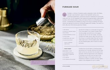 Tiny Cocktails: The Art of Miniature Mixology: A Cocktail Recipe Book [KSIĄŻKA]