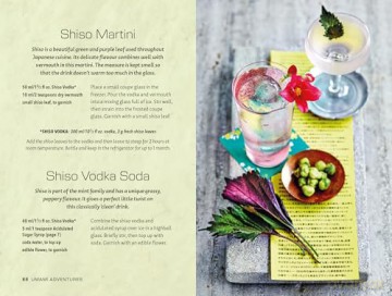 Tokyo Bar: 65 recipes for Japanese-style cocktails and izakaya snacks [KSIĄŻKA]