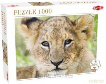Puzzle 1000 Lion TACTIC [PUZZLE]