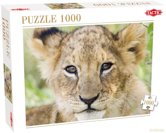 Puzzle 1000 Lion TACTIC [PUZZLE]