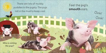 Touch and Feel Farm: With Tactiles for Toddlers to Explore [KSIĄŻKA]