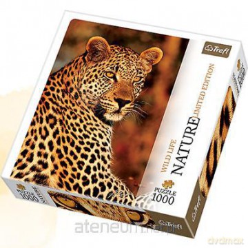 Puzzle 1000 Nature... - Lampart TREFL [PUZZLE]