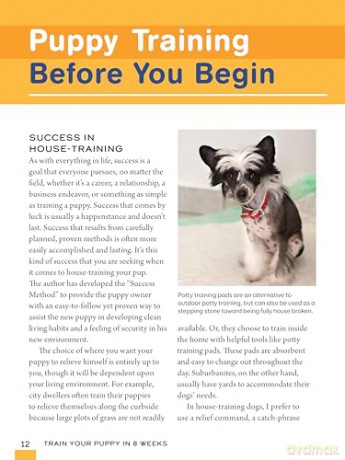 Train Your Puppy in 8 Weeks: A Positive Guide for Dog Owners [KSIĄŻKA]