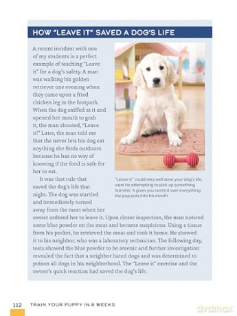 Train Your Puppy in 8 Weeks: A Positive Guide for Dog Owners [KSIĄŻKA]