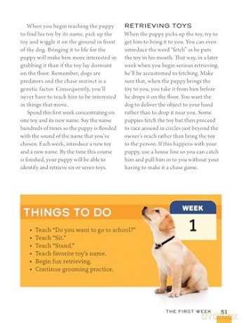 Train Your Puppy in 8 Weeks: A Positive Guide for Dog Owners [KSIĄŻKA]