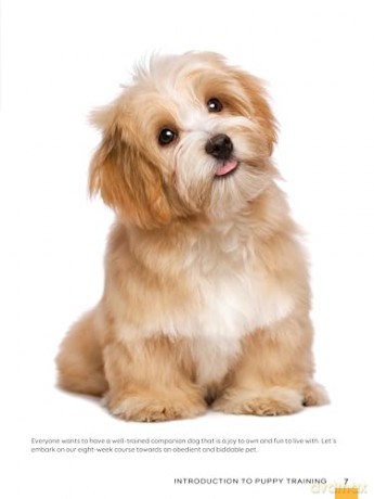Train Your Puppy in 8 Weeks: A Positive Guide for Dog Owners [KSIĄŻKA]