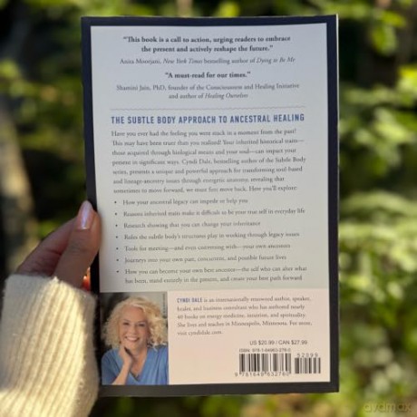 Transforming the Legacy: The Subtle Body Approach to Honor and Heal Your Inherited Lineage [KSIĄŻKA]