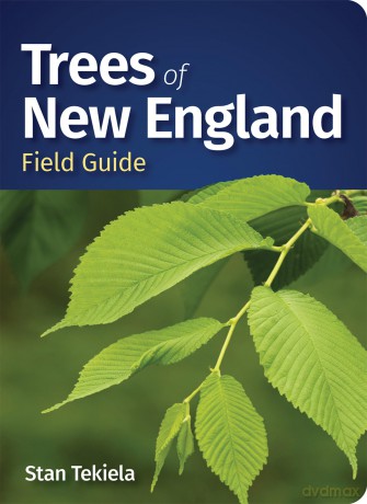 Trees of New England Field Guide [KSIĄŻKA]