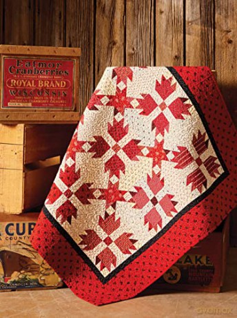 Tucked-Away Treasures: 14 Patchwork Patterns for Little Quilts [KSIĄŻKA]
