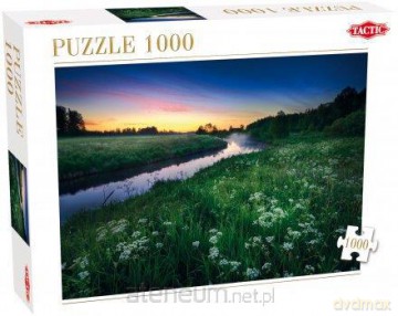 Puzzle 1000 Summer Night TACTIC [PUZZLE]