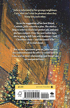 Twelve Days of Christmas: A Christmas Novel [KSIĄŻKA]