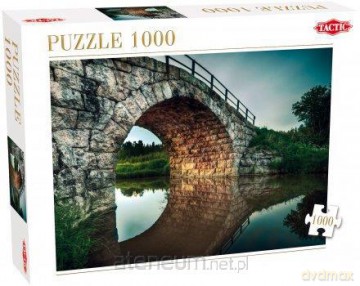 Puzzle 1000 Under the Bridge TACTIC [PUZZLE]