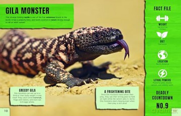 Ultimate Predators: Hunting Legends [KSIĄŻKA]